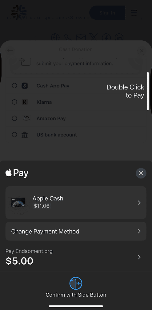 Apple Pay Shot